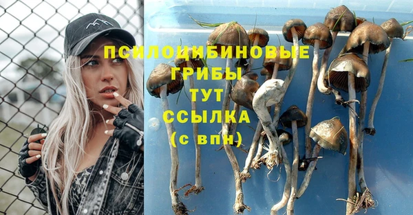 а пвп мука Балабаново