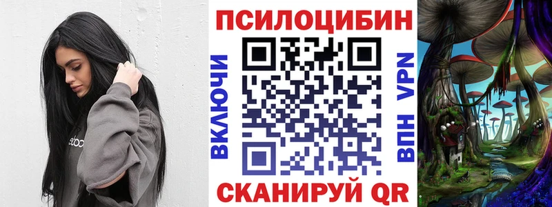 Галлюциногенные грибы Psilocybine cubensis  Новый Уренгой 